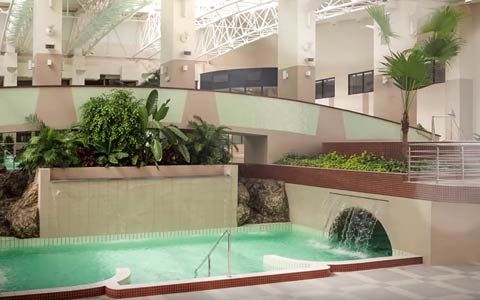 Lotus Hotel, wellness 